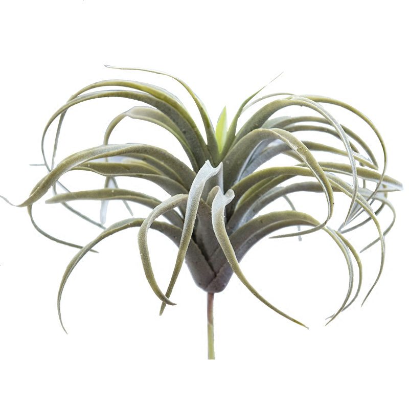 北欧田园风仿真植物空气凤梨高档精致假花DIY装饰植物摄影道具