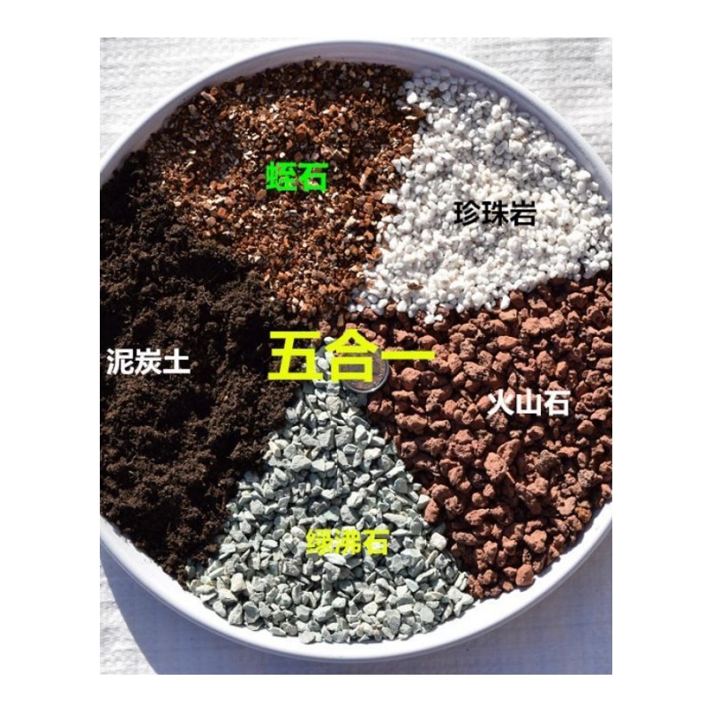 多肉土5合一多肉专用营养土大包营养土养花土种植土花泥有机土