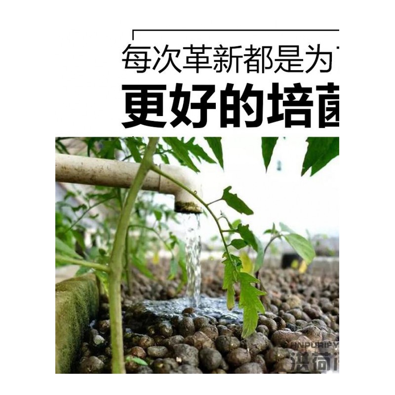 鱼菜共生陶粒沉水重质水培生物陶砾花卉无土栽培专用培营养土值