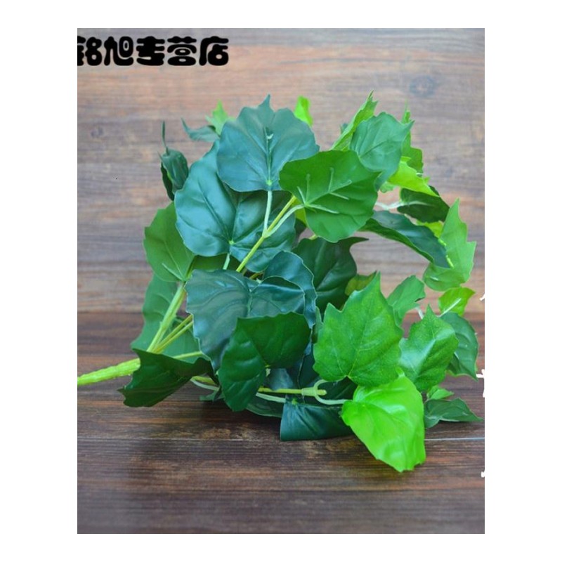 仿真植物 假植物 塑料小盆栽绿植绿萝 仿真花植物 室内外装饰品摆件-中盆绿萝叶套装