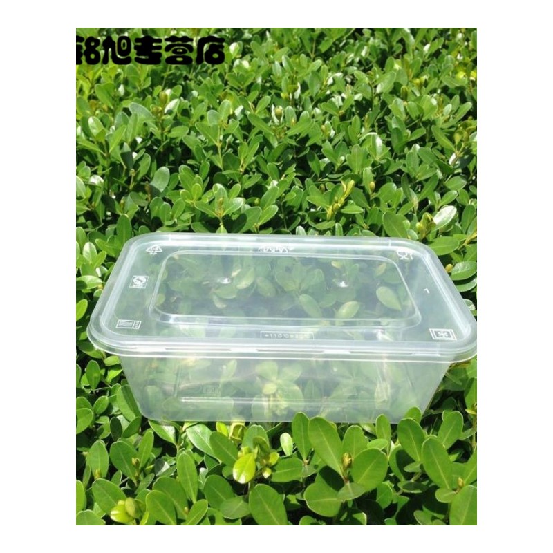 透明加厚圆形长方形一次性餐盒打包盒保鲜盒外卖盒带盖子简约一次性用品