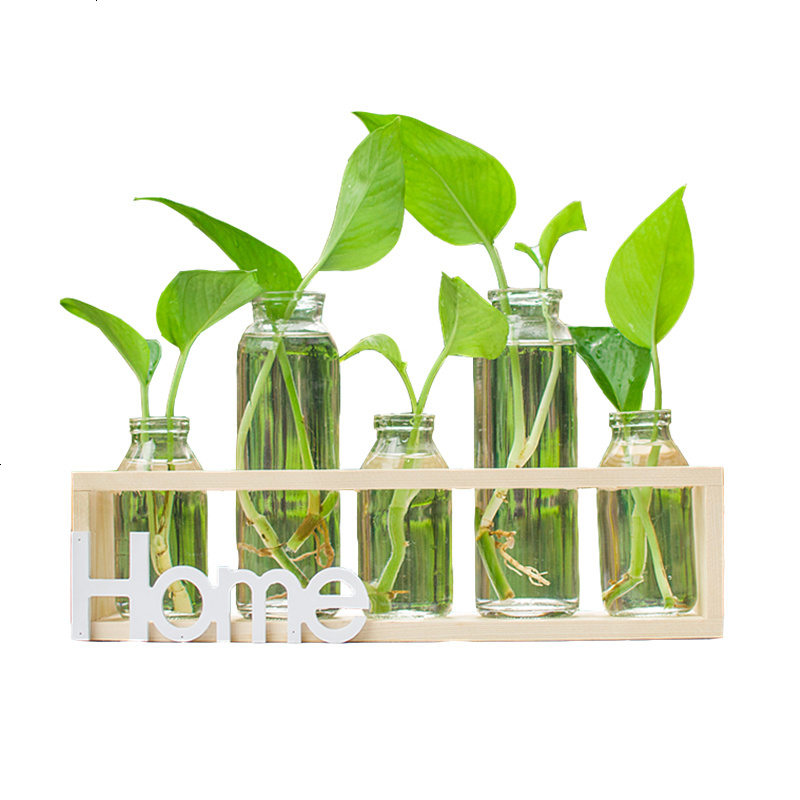 花瓶摆件植物玻璃透明容器清新装饰品绿萝客厅创意桌面个性摆件水培透明植物玻璃花瓶