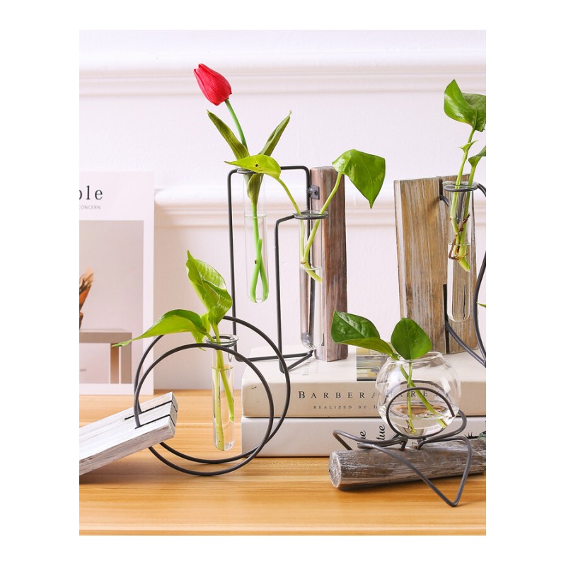 绿萝水培植物玻璃瓶花盆创意个性花卉室内观花绿植少女桌面摆件