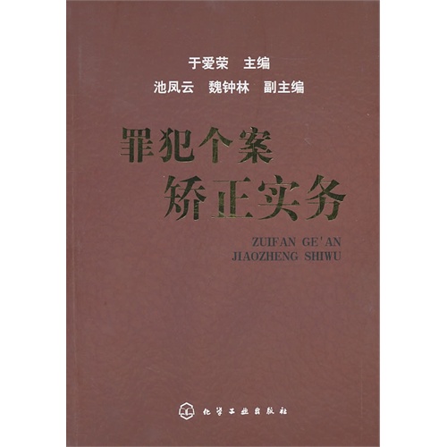 [正版二手]罪犯个案矫正实务