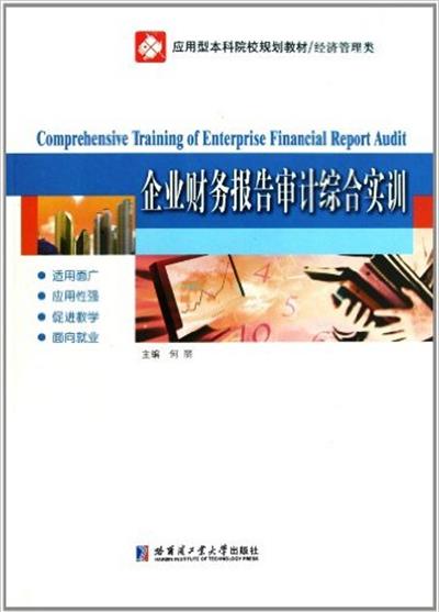 [正版二手]企业财务报告审计综合实训