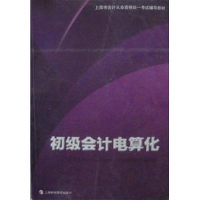 [正版二手]初级会计电算化