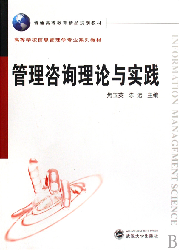 【正版二手】管理咨询理论与实践