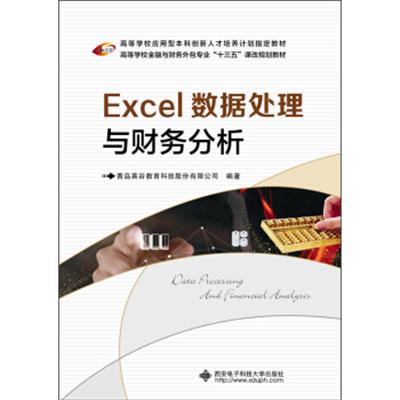 [正版二手]Excel数据处理与财务分析