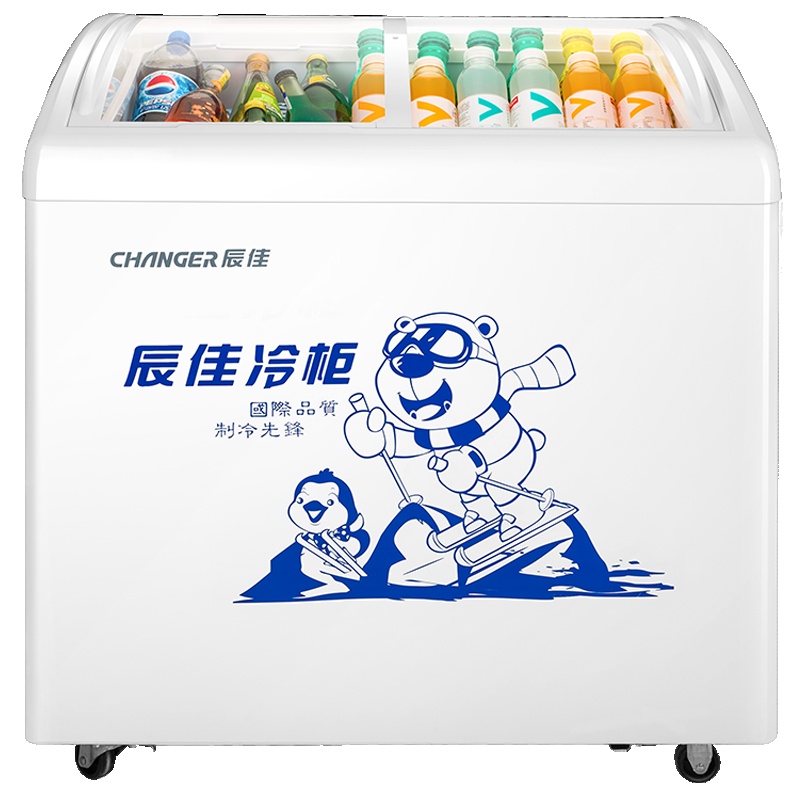 辰佳 (Changer)SC/SD(W)-226 226升卧式冷冻冰柜 商用小展示柜雪糕柜速冻雪柜 白色