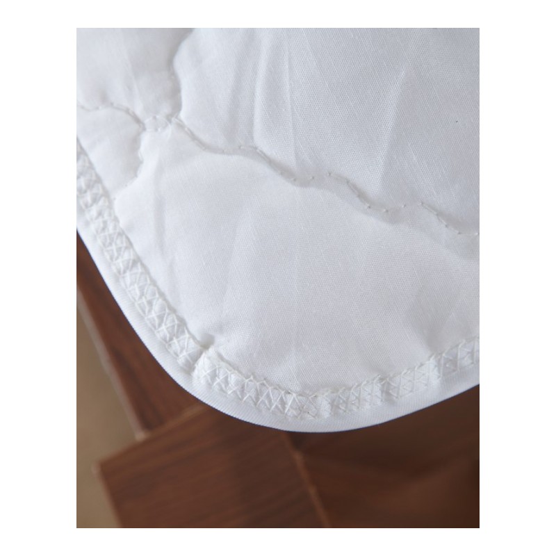 床垫保护垫1.8水洗防滑床护垫1.5m薄款垫被保洁床褥子宾馆