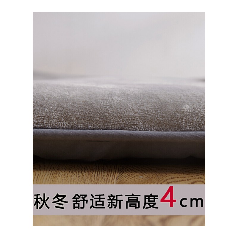 冬季法兰绒垫子加绒加厚床垫床褥子垫被保暖珊瑚绒1.5m床经济型椰树灰[防滑款]