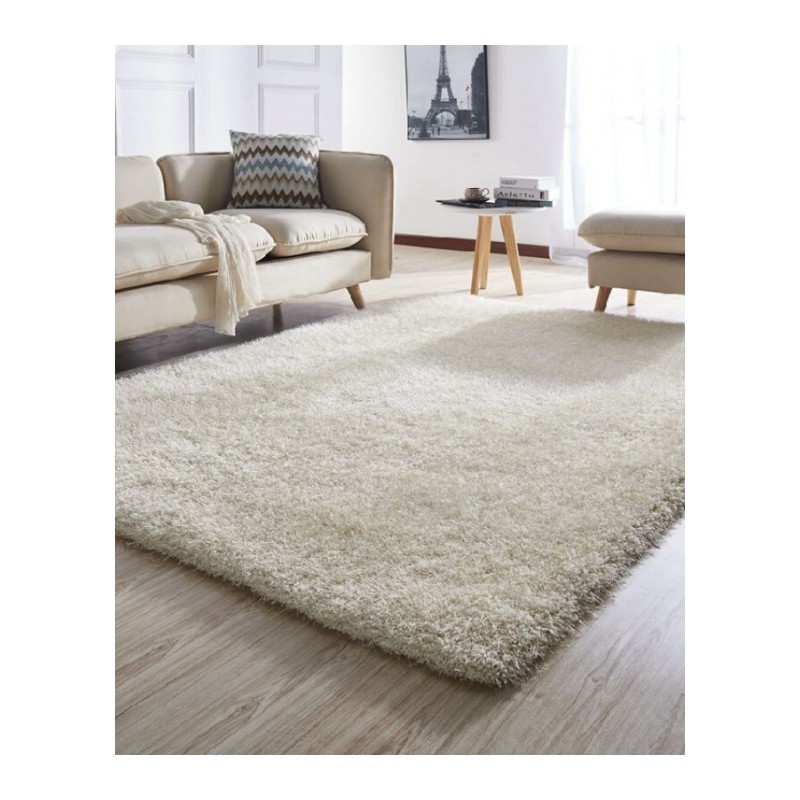 加厚家用长毛客厅地毯现代简约沙茶几垫北欧卧室满铺榻榻米床边