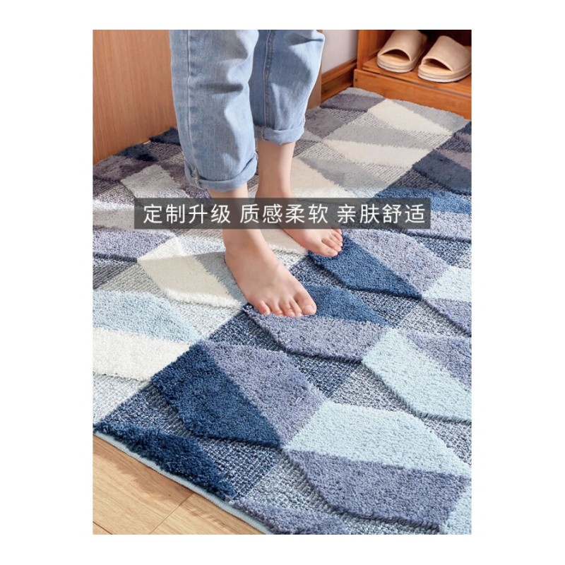 地垫垫进口入户脚垫入厅地垫定制家用客厅地毯蹭脚垫