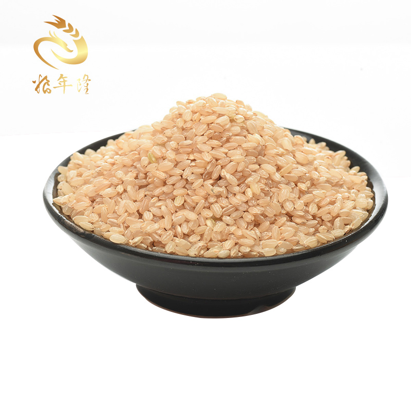 粮年隆农家糙米新米玄米农家发芽米粗胚芽米健身五谷杂粮480g
