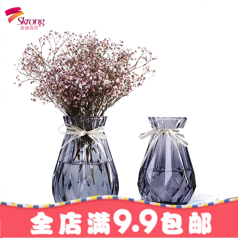 欧式花瓶玻璃透明创意水培绿萝植物花瓶 客厅装饰 干花插花瓶摆件