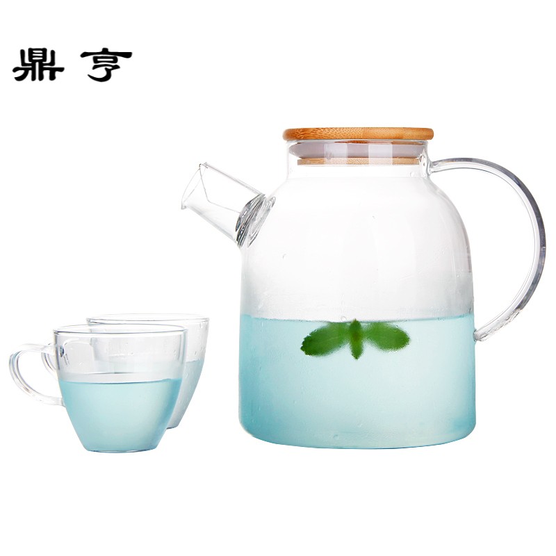 鼎亨大茶壶过滤泡水果茶壶玻璃加厚冷水壶耐高温凉水冷饮壶茶具套