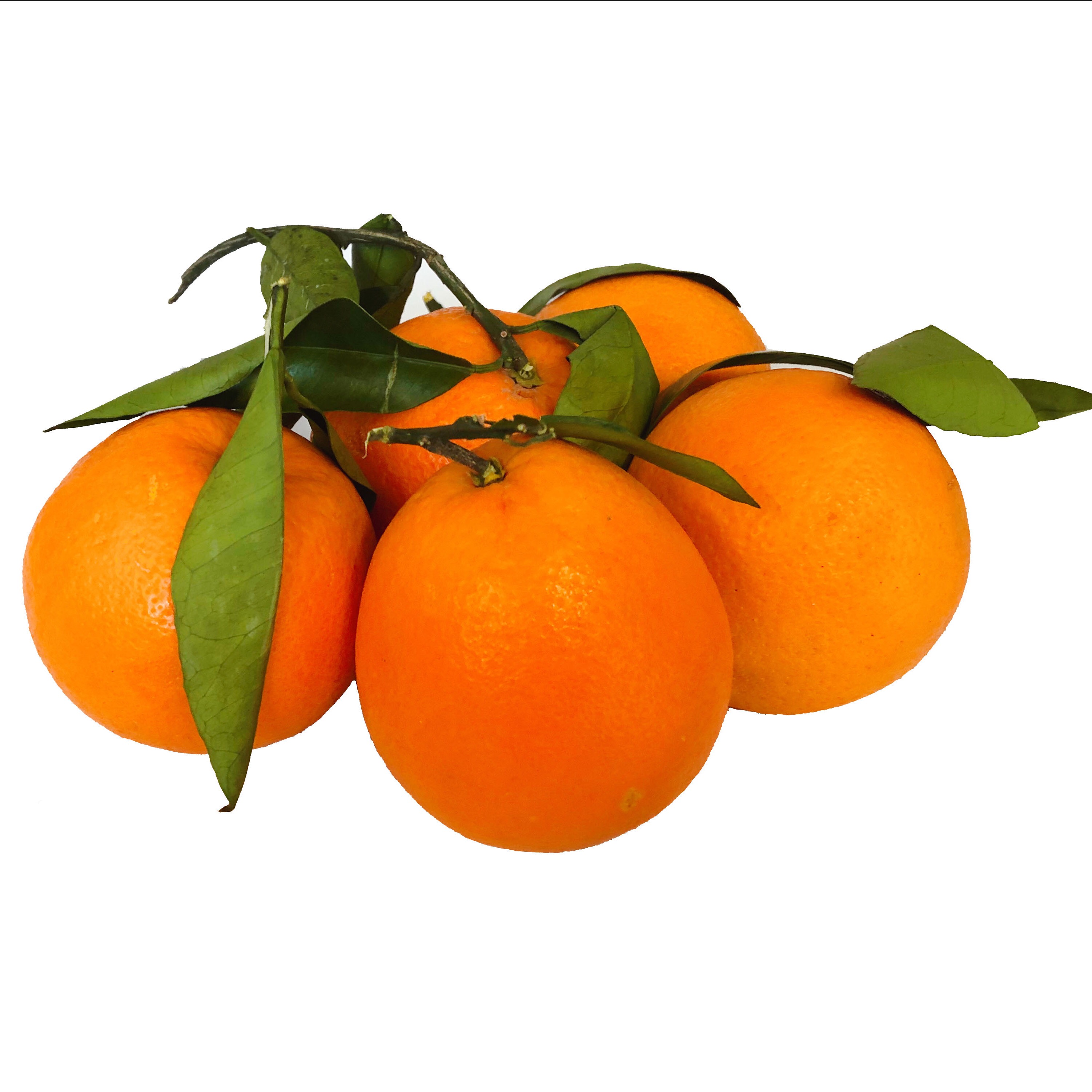 重庆直发 奉节脐橙4斤装 拼2件发10斤 果径70-80mm 新鲜水果