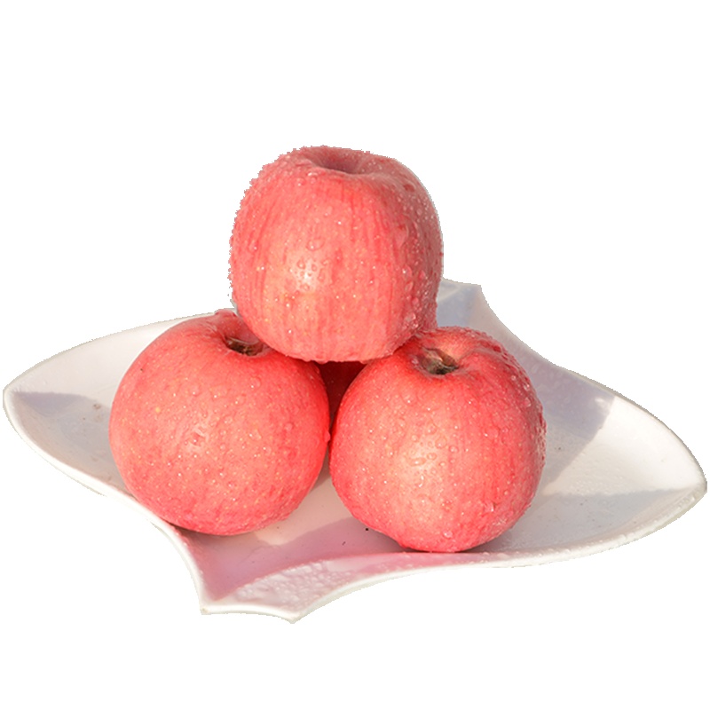 [中华特色]红六福 静宁红富士苹果12枚75-80果净重约5斤