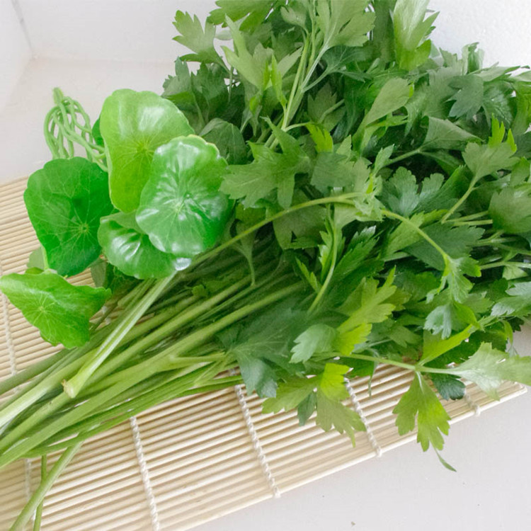 正常发货】意大利芹250g 细叶芹 欧芹 巴西里香