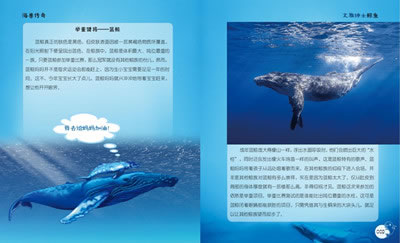 "大白鲸计划"海洋科普馆:海兽传奇