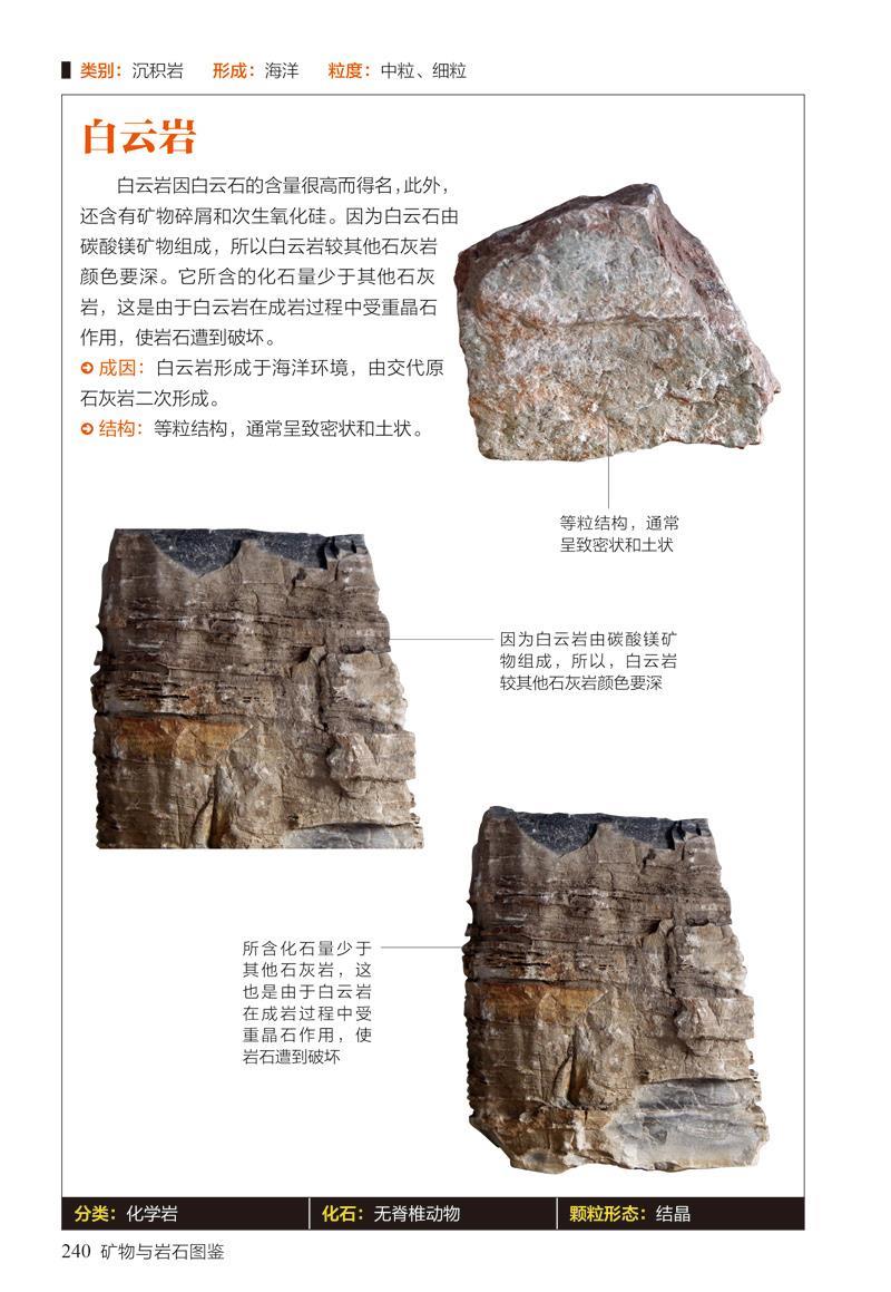 矿物与岩石图鉴 :教你辨认231种矿物与65种岩石