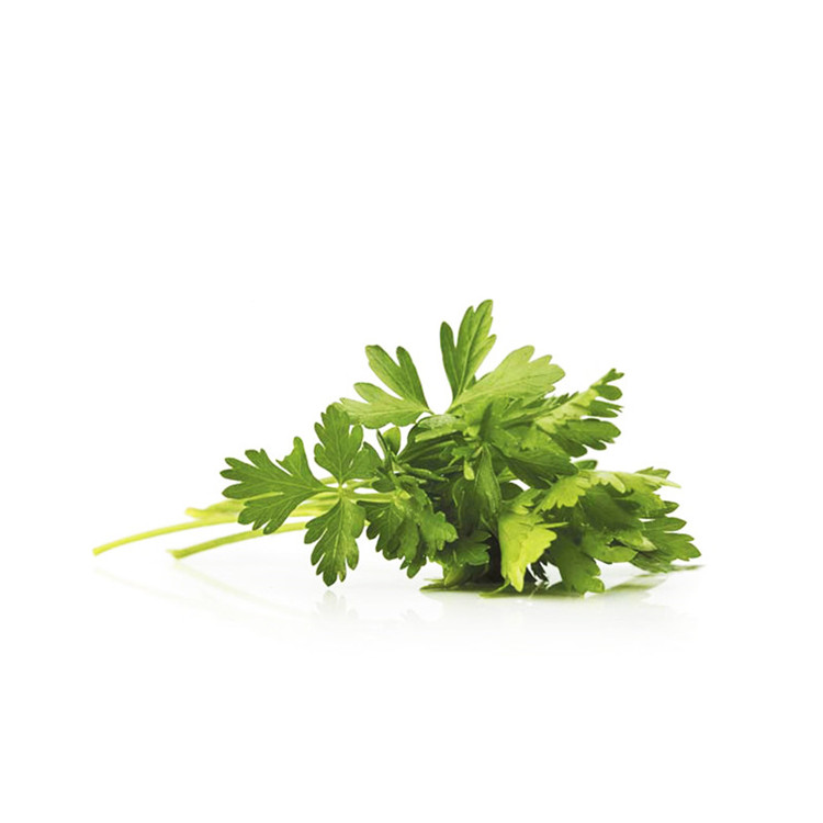 正常发货】意大利芹250g 细叶芹 欧芹 巴西里香