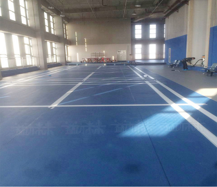 益动未来健身房地垫地胶PVC运动地板羽毛球