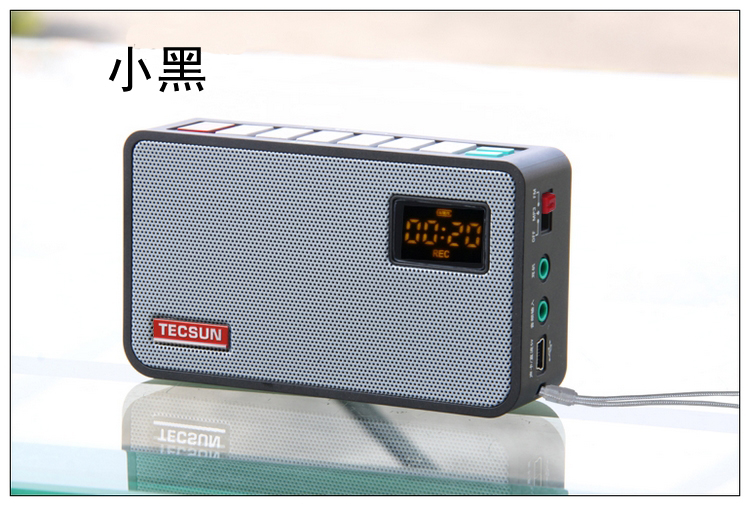 德生（Tecsun） ICR-100（银色）广播录音机 数码音频播放器 插卡收音机 小音箱 收音机 插卡音箱