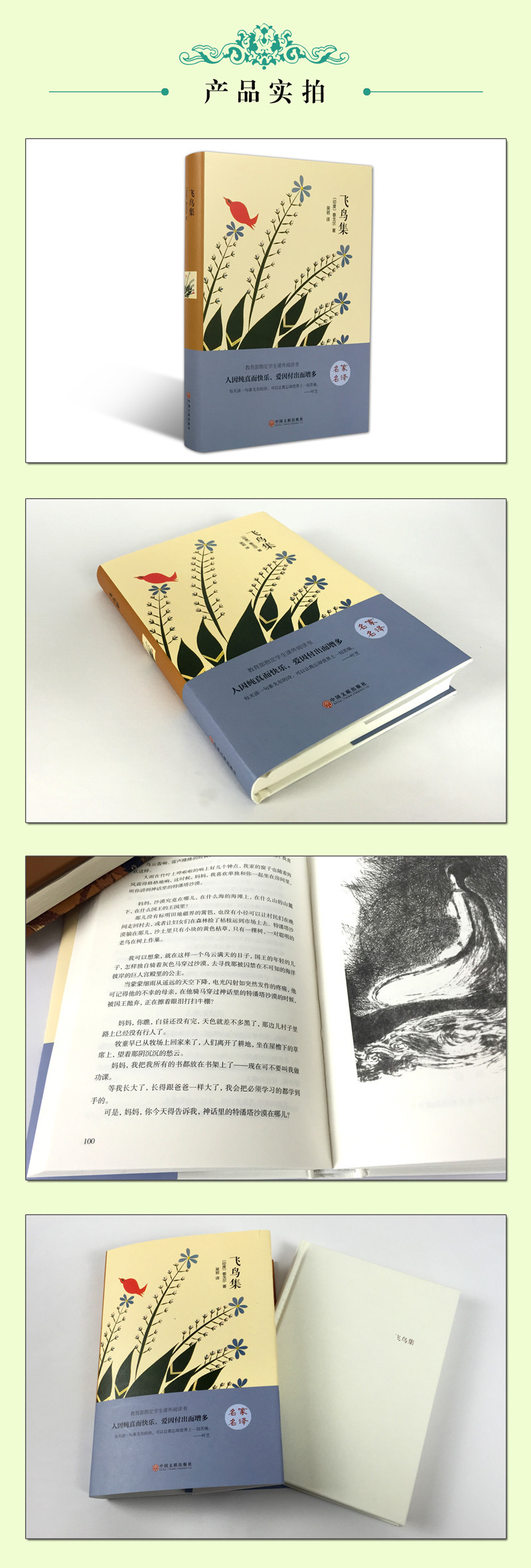 飞鸟集 泰戈尔诗选 世界经典文学小说名著 原著 原版全中文完整版诗歌