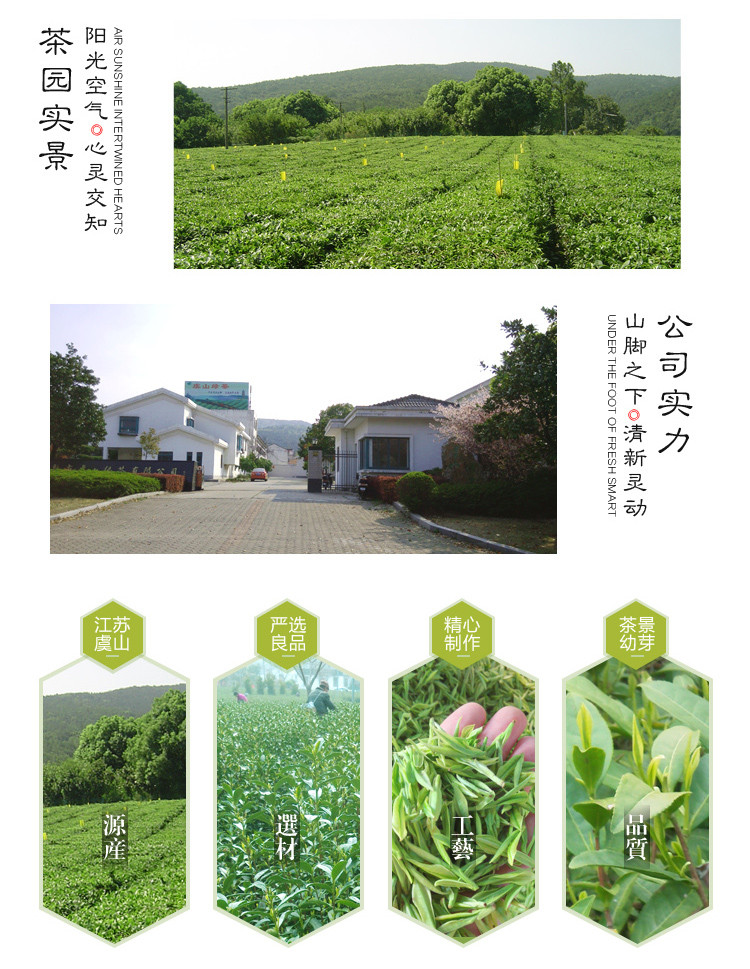 虞山绿茶旗舰店