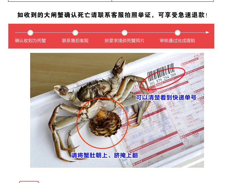 大纵湖大闸蟹鲜活实物现货大螃蟹河蟹礼盒 公5.0两 母3.