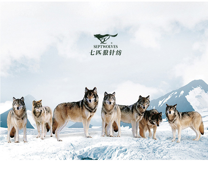 【七匹狼<em>上海专卖店</em>】七匹狼SEPTWOLVES 