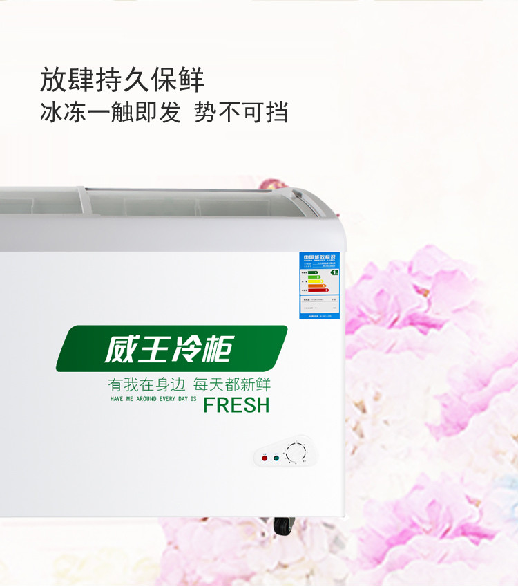vk(vk)冷柜scd-368qy weking/威王scd-368qy冷柜 卧式冰柜 家用冷柜