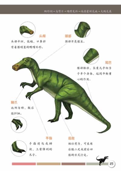 恐龙图鉴(高清手绘图片,带你重返《侏罗纪公园》,认识一下在人类之前