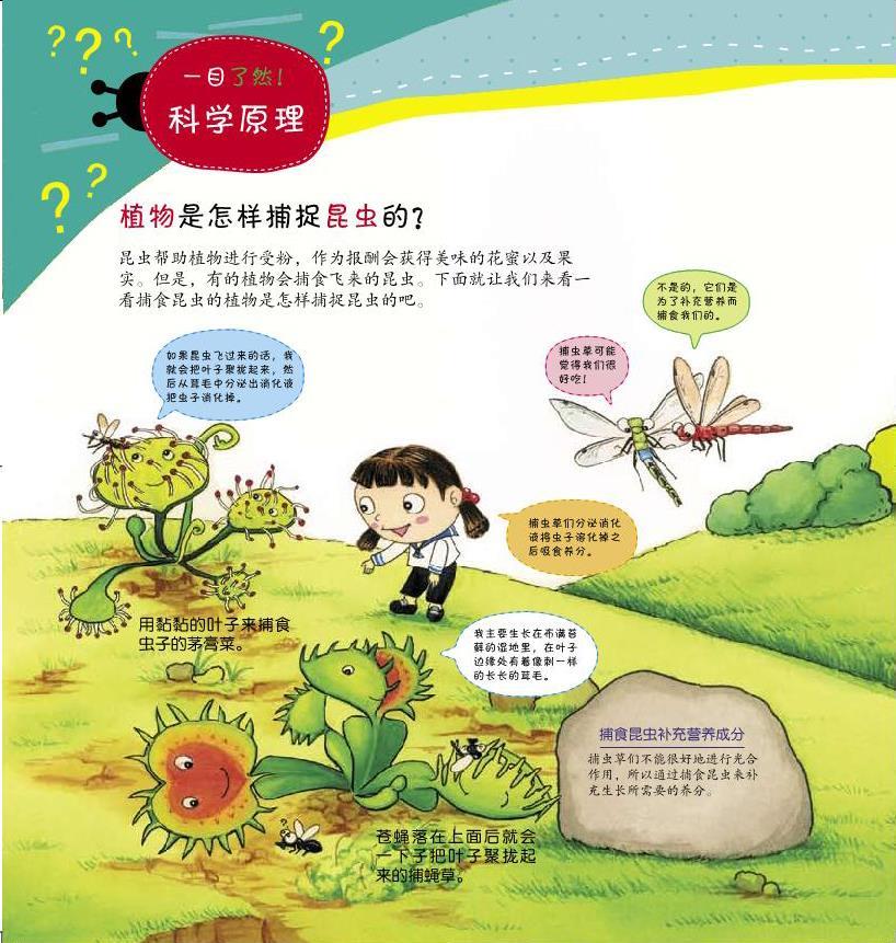 123 科学how so (植物篇)吃虫子的植物:嘘!有可能被吃掉哦!
