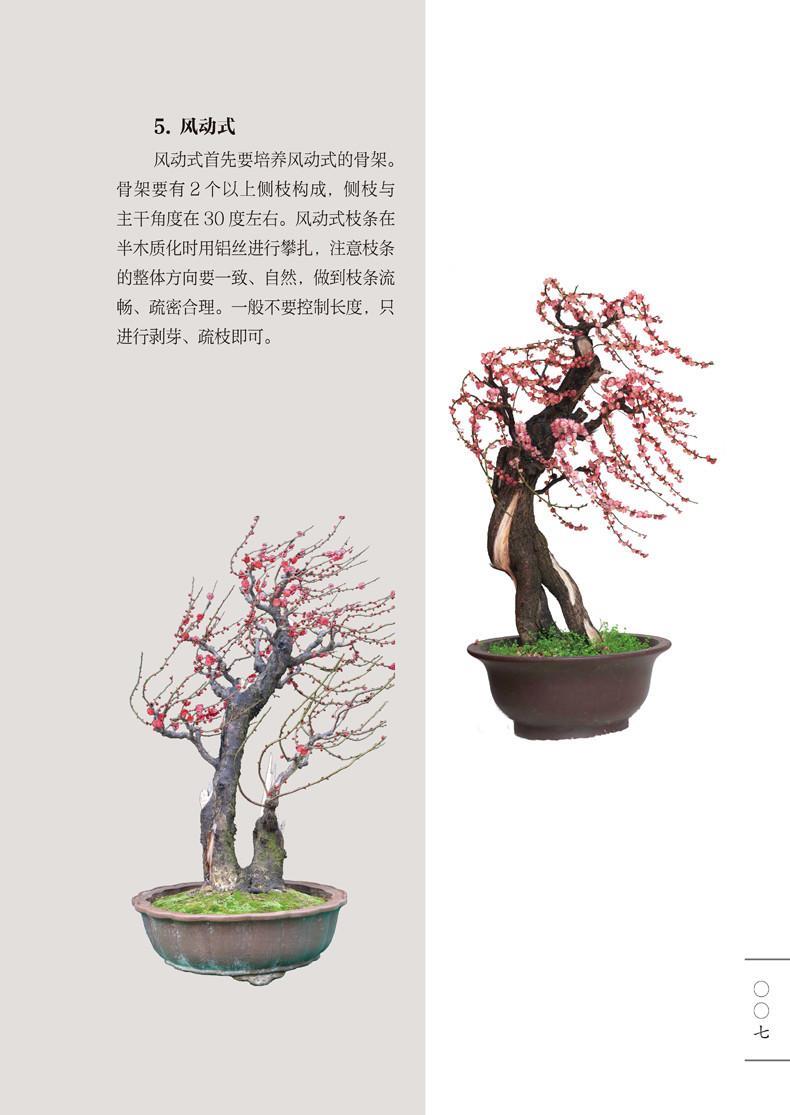 123 梅花盆景造型技艺:冯氏造梅十三式
