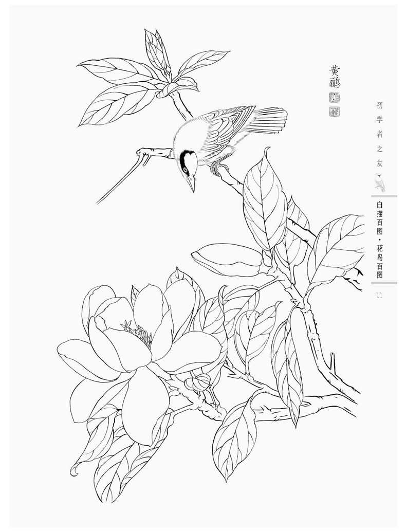 初学者之友白描百图花鸟百图