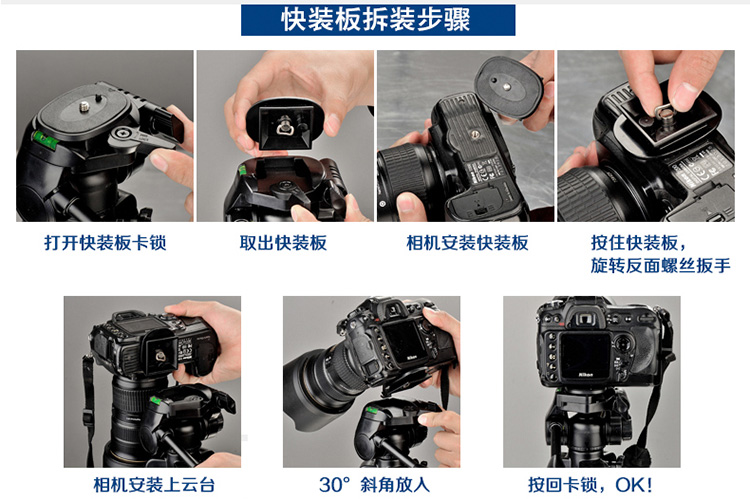 缔杰（DIGIPOD）TR562F 便携三脚架 单反相机专业三角架 摄影支架摄像云台套装