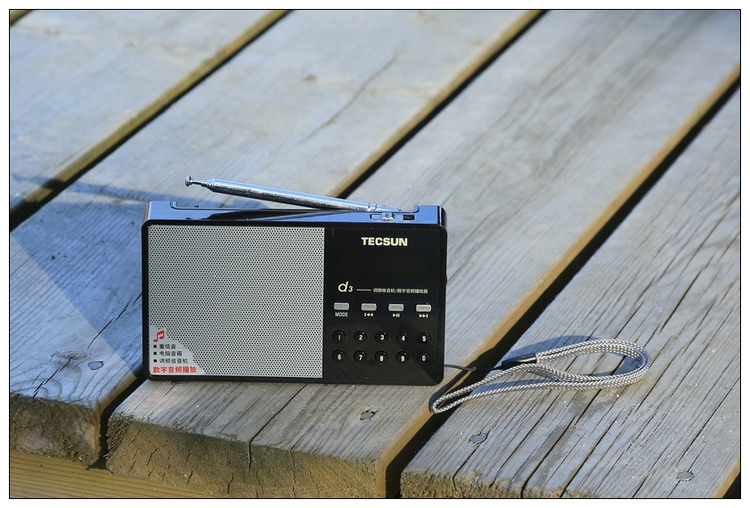 德生(TECSUN) 数码收音机插卡音箱播放器 d3 黑色