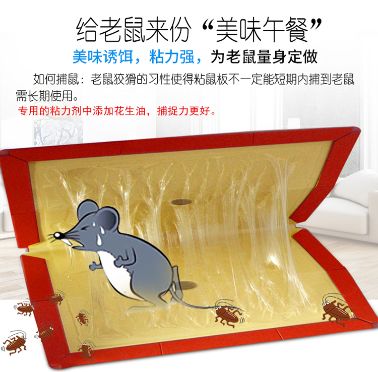 安速吱吱板粘鼠板粘度大硬厚大老鼠贴老鼠夹板器捕鼠器代替杀灭老鼠药