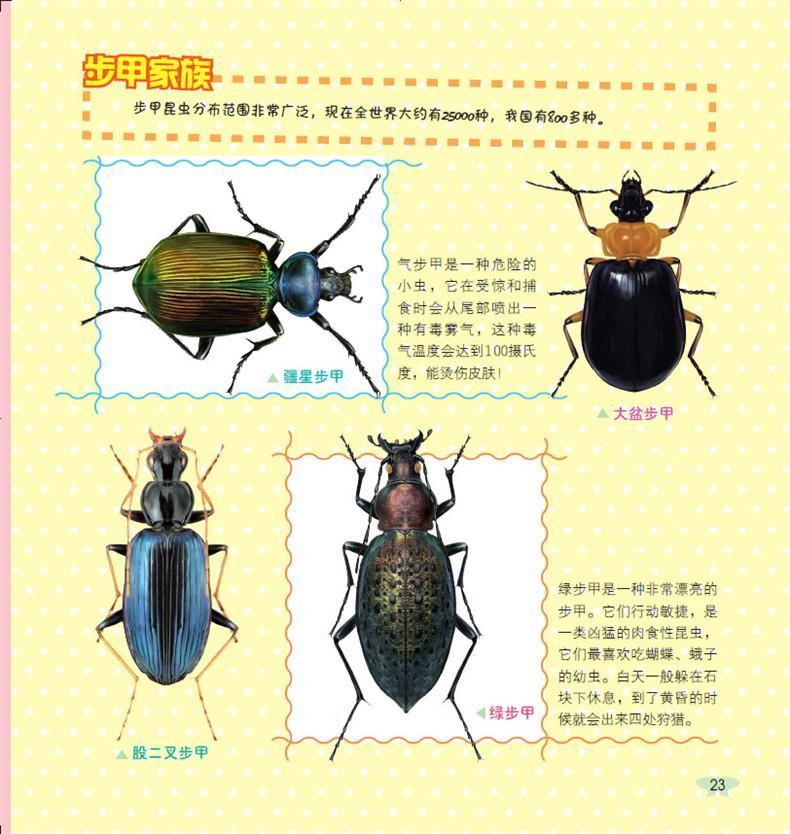 昆虫分类的书籍