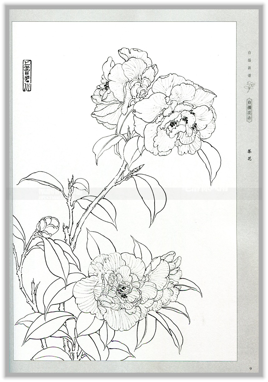 《正版 智品 墨点美术白描画谱白描花卉工笔画教程本.
