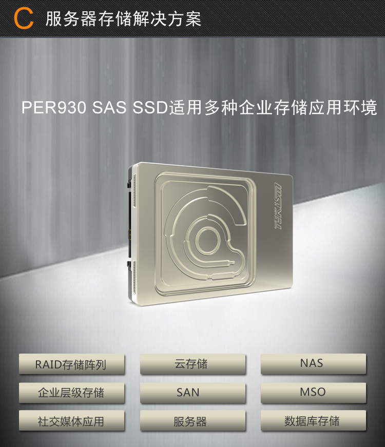 特科芯（TEKISM）PER930 480G SAS 固态硬盘服务器硬盘