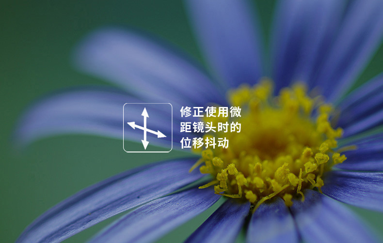 Sony\/索尼 ILCE-7M2 单机 A7M2微单数码相机