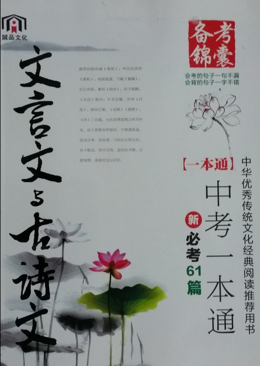 《备考锦囊 文言文与古诗文 中考一本通 新必考