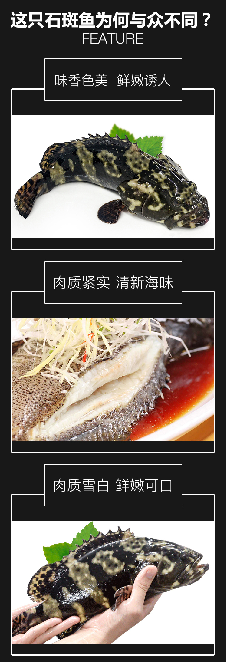 冰鲜海南龙胆石斑鱼600g1条海鲜水产