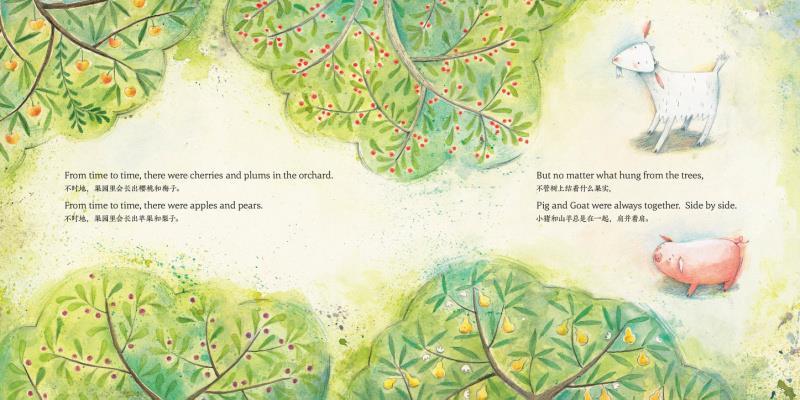 正版书籍 绘本花园:永远在一起(平) 【澳】埃德温娜·怀亚特 / 【澳】