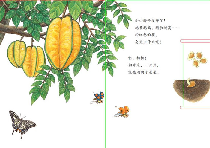 小种子快长大水果篇启发童书馆出品