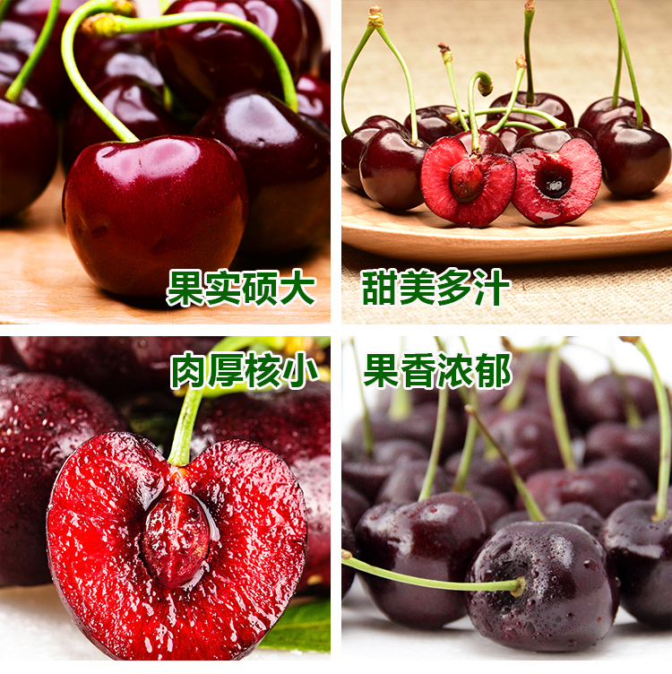 智利进口车厘子jj级2500g新鲜精选车厘子大果