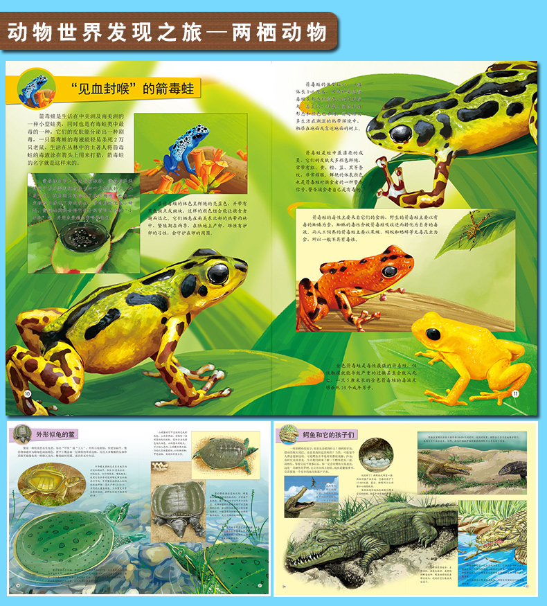 超级新品 动物世界发现之旅6本动物世界大百科全书海洋昆虫恐龙书籍